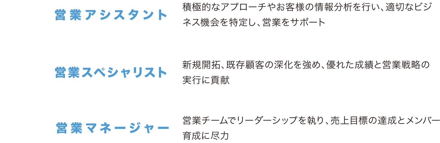 キャリアパス図